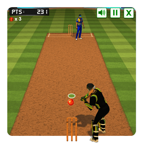 Cricket Batter screenshot